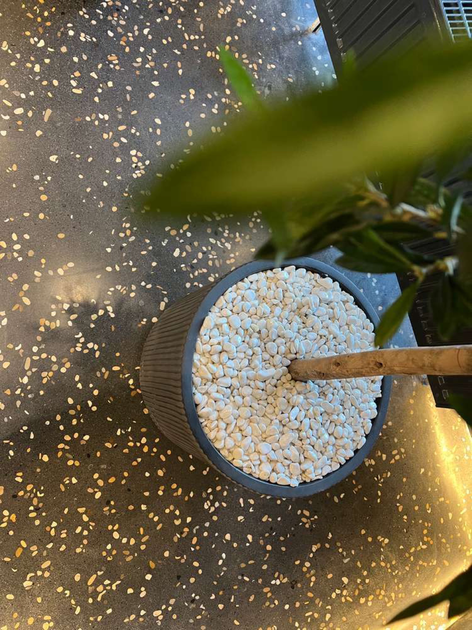 Terrazzo polished detail